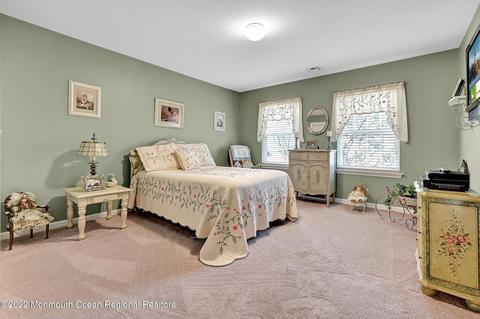 11 Craig Ct, Jackson, NJ 08527 photo 37