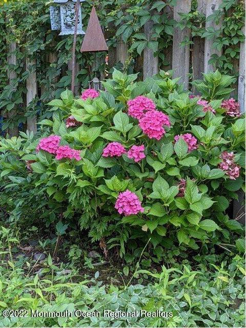 96 Canis Dr, Brick, NJ 08724 photo 36