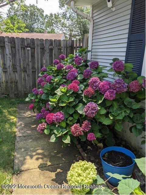 96 Canis Dr, Brick, NJ 08724 photo 44