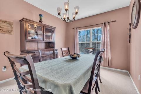 39 Green Tree Dr, Jackson, NJ 08527 photo 10