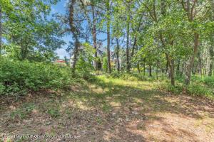 16 Monarch Ct, Jackson, NJ 08527 photo 75