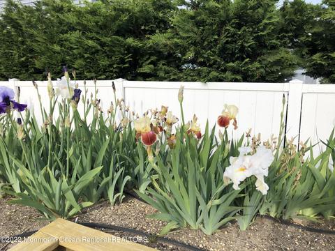 14 Riverview Dr, Brick, NJ 08723 photo 49