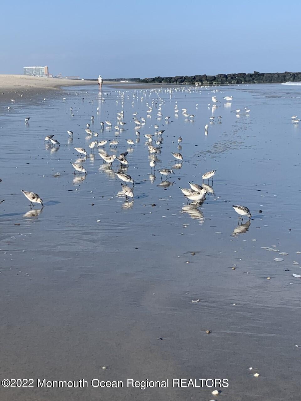  601 Washington Ave, Avon By The Sea, NJ 07717 photo 35