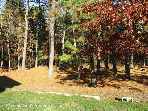 10 Abbey Ct, Forked River, NJ 08731 photo 21