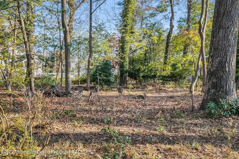 10 Circle Dr, Rumson, NJ 07760 photo 34