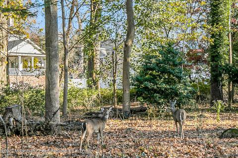 10 Circle Dr, Rumson, NJ 07760 photo 2