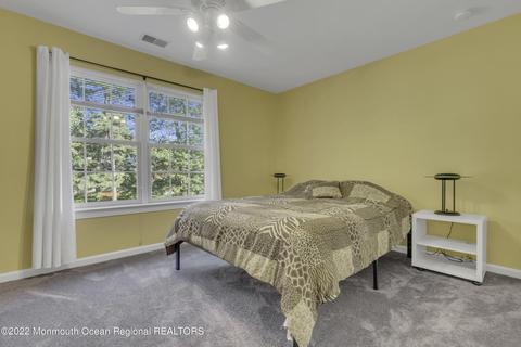 19 Conor Rd, Jackson, NJ 08527 photo 39
