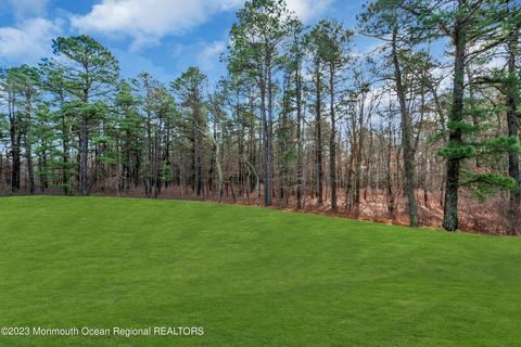 3 Opal Ct, Jackson, NJ 08527 photo 92