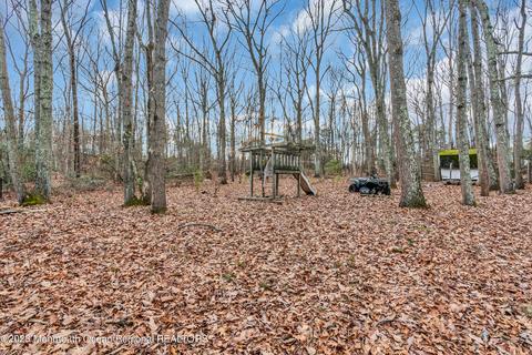 418 Leesville Rd, Jackson, NJ 08527 photo 34