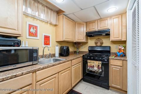 5 Plasner Ct, Jackson, NJ 08527 photo 20