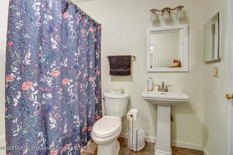 703 Daffodil Dr, Jackson, NJ 08527 photo 12