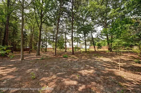 3 Jhan Dr, Jackson, NJ 08527 photo 57