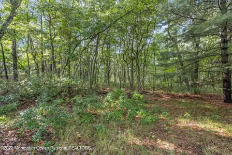 74 Willow Dr, Jackson, NJ 08527 photo 20