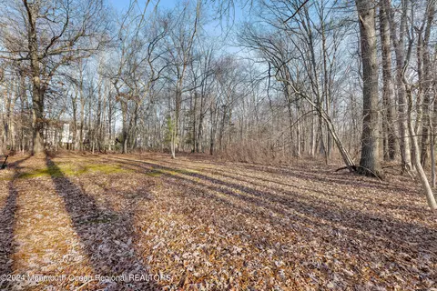 391 Diamond Rd, Jackson, NJ 08527 photo 7