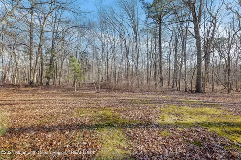 391 Diamond Rd, Jackson, NJ 08527 photo 8