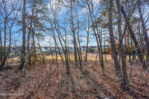 View/Area - 10 Millstone Way, Waretown, NJ 08758 photo 1 of 2
