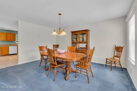 8 Solomon Ct, Jackson, NJ 08527 photo 10