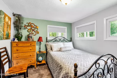 166 Willow Dr, Jackson, NJ 08527 photo 19