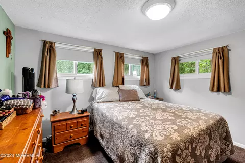 166 Willow Dr, Jackson, NJ 08527 photo 17