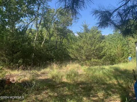 696 Wright Debow Rd, Jackson, NJ 08527 photo 20