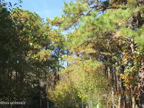112 Riva Blvd #1237, Brick, NJ 08723 photo 42