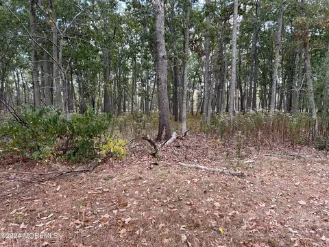 Other - 143 Sunset Dr, Forked River, NJ 08731 photo 5 of 7