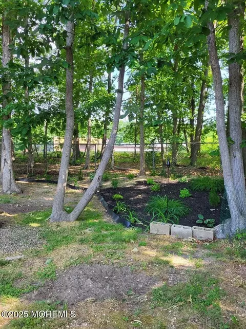 52 Douglas Dr, Jackson, NJ 08527 photo 39