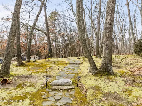 9 Galassi Ct, Jackson, NJ 08527 photo 38
