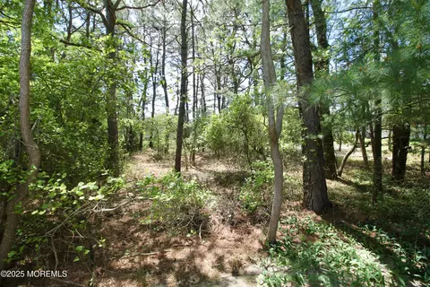 Exterior - 41 Eagle Dr, Whiting, NJ 08759 photo 12 of 12