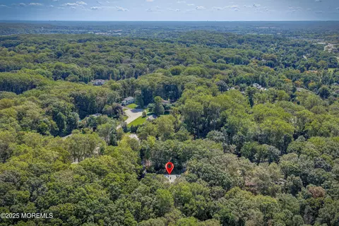 View/Area - 11 Deer Path, Holmdel, NJ 07733 photo 4 of 5