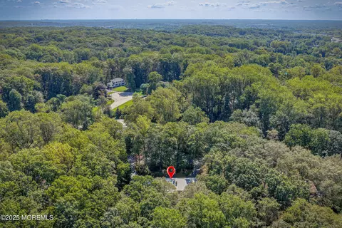 View/Area - 11 Deer Path, Holmdel, NJ 07733 photo 2 of 5