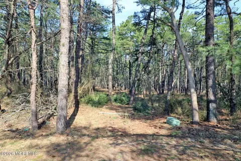 Exterior - 20 Eagle Dr, Whiting, NJ 08759 photo 3 of 4