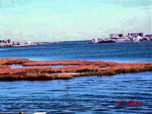 4 Crescent #DR, Brielle, NJ 08730 photo 2