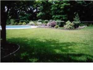 7 Plasner Ct, Jackson, NJ 08527 photo 3