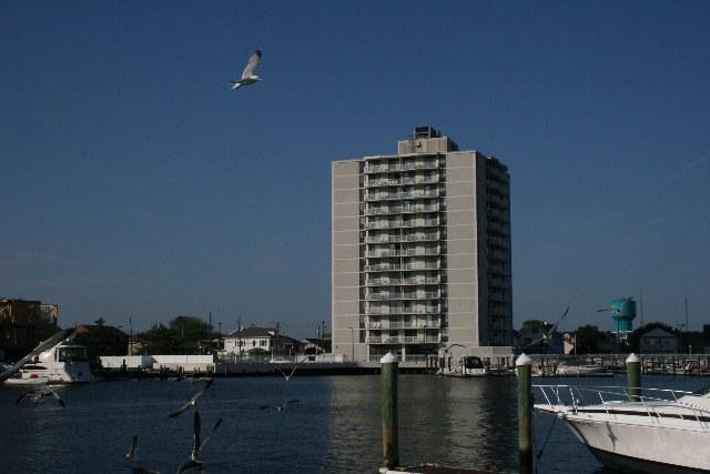 236 N Derby Ave #203, Ventnor City, NJ 08406 photo 1