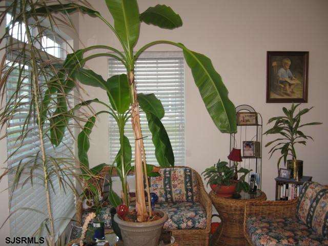 6 Marigold Cir, Egg Harbor Township, NJ 08234 photo 12