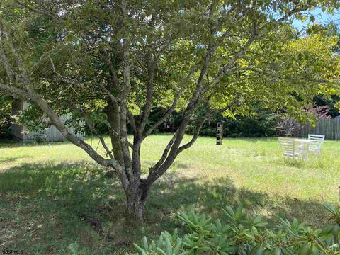 730 Chanese Ln, Galloway, NJ 08205 photo 16