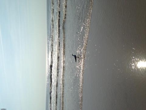 706 Beach Ave, Brigantine, NJ 08203 photo 24