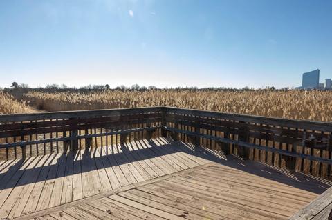 23 Ross Dr, Brigantine, NJ 08203 photo 45