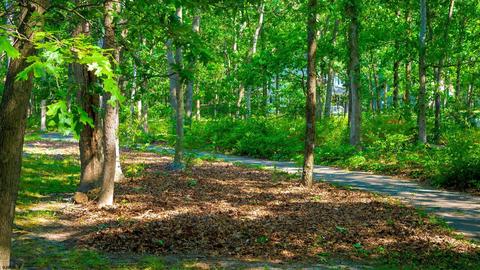 208 E Solitude Pl, Absecon, NJ 08205 photo 45