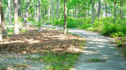 208 E Solitude Pl, Absecon, NJ 08205 photo 43
