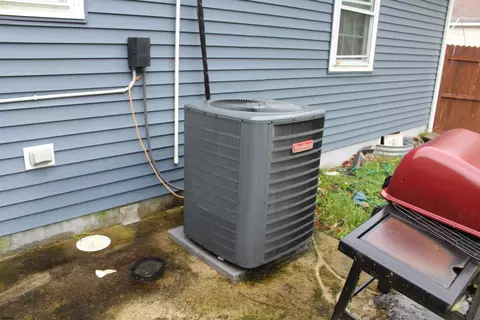 Other - 237 E Oakbourne Ave, Galloway, NJ 08205 photo 4 of 7