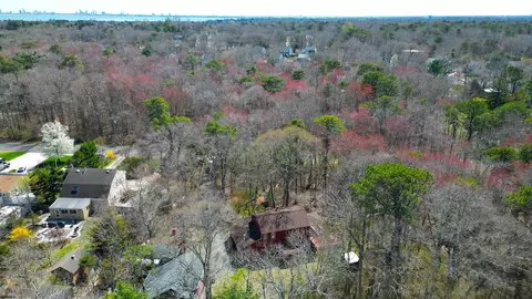 515 E Brook Ln, Galloway, NJ 08205 photo 70