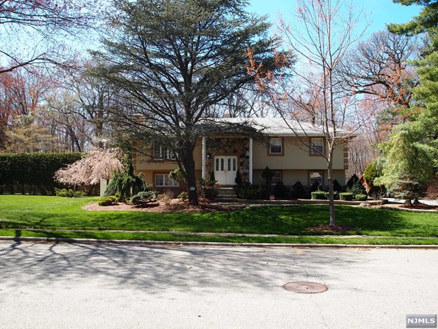 679 Drexel Rd, Paramus, NJ 07652 photo 1