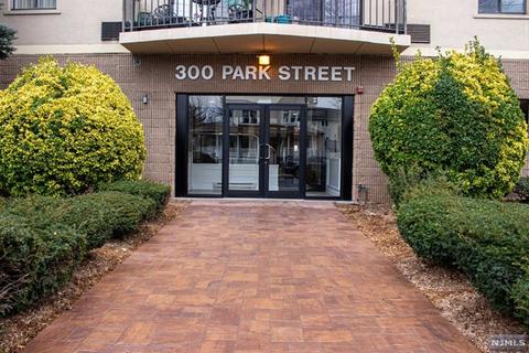 300 Park St #1B, Hackensack, NJ 07601 photo 1