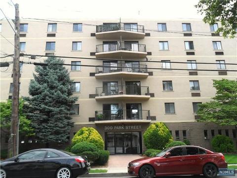 300 Park St #1A, Hackensack, NJ 07601 photo 1