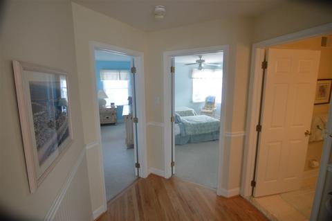 53 E 14th, Avalon, NJ 08202 photo 17