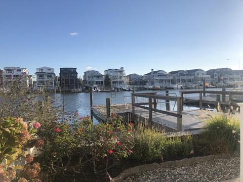 463 24th St, Avalon, NJ 08202 photo 4