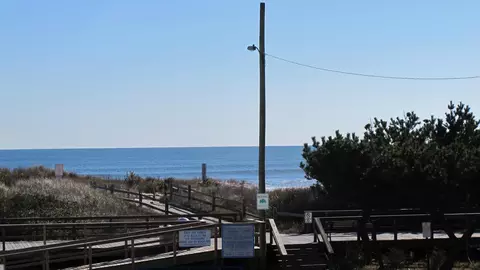 55 E 26th St, Avalon, NJ 08202 photo 4