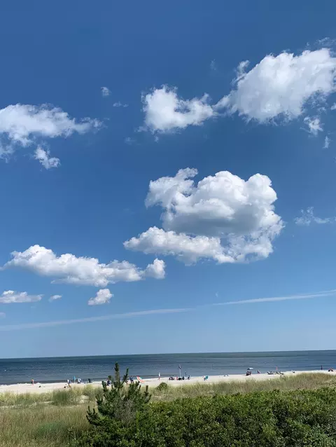73 E 25th St, Avalon, NJ 08202 photo 10